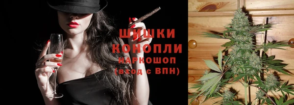 гашик Аркадак