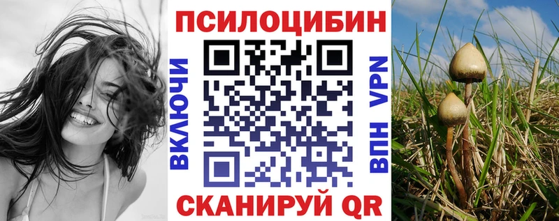 где продают наркотики  shop клад  кракен ссылки  Галлюциногенные грибы Magic Shrooms  Омск 
